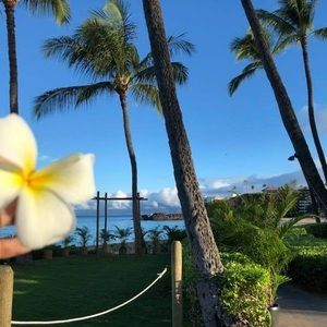 Meet your Posher, Hazel